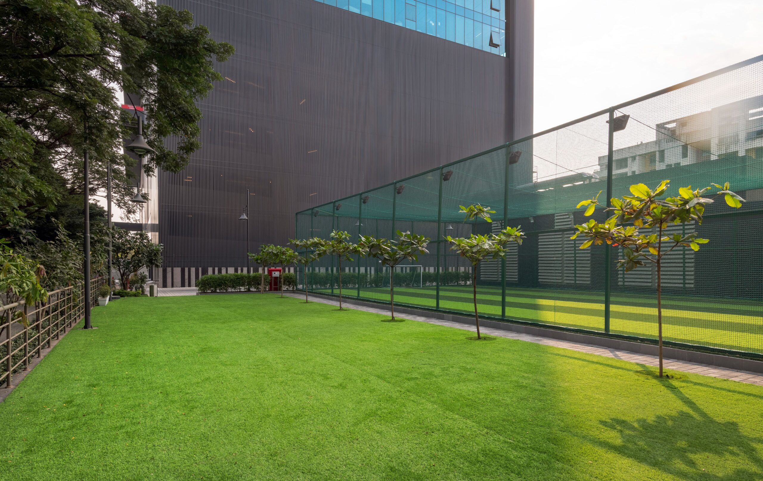 ATP Box Football Pic 1