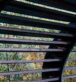 Aluminium louvers